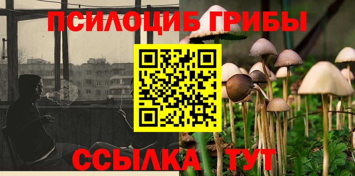 Галлюциногенные грибы Cubensis  Псилоцибиновые грибы Psilocybine cubensis  Вход с VPN  Россошь 